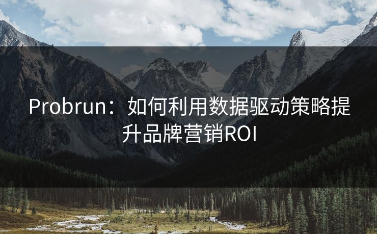 Probrun:如何利用数据驱动策略提升品牌营销ROI Probrun:如何利用数据驱动策略提升品牌营销ROI